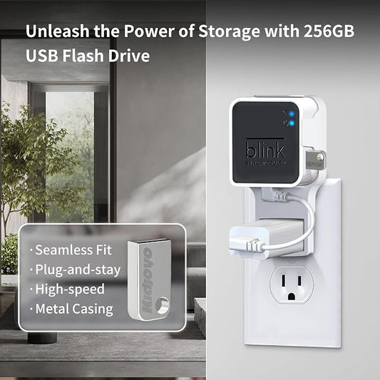 256GB Blink USB Flash Drive & Wall Mount - Image 2