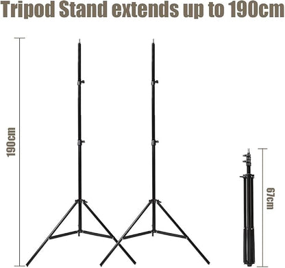 Godox 600W Professional Studio Strobe Lights Kit, 2X 300W 5600K Monolights - Image 9