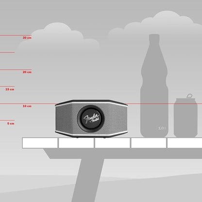 Fender x Teufel ROCKSTER GO 2 Portable Bluetooth Speaker – Powerful Sound - Image 2
