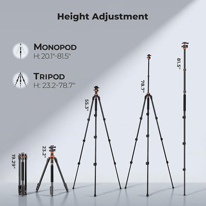 K&F CONCEPT Tripod for Camera, Stable Heavy Duty Travel Tripod for DSLR Cameras - Image 2