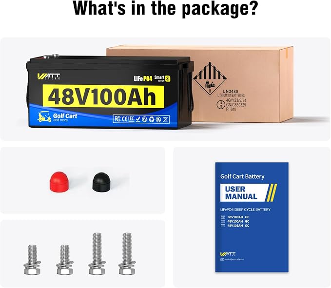 48V 100Ah Lithium LiFePO4 Battery - Image 9