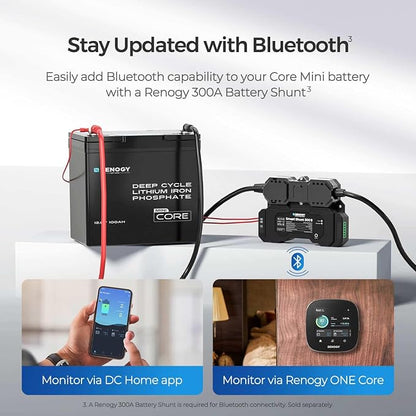 Renogy 2PCS 12V 100Ah Mini Size LiFePO4 Lithium Battery, 100A BMS - Image 4