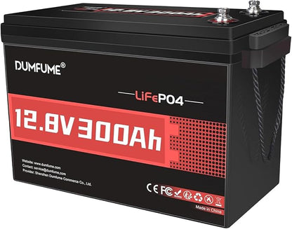 12V 300Ah Lithium LiFePO4 Battery, 200A BMS Max.3840W Load Power, Rechargeable by Dumfume