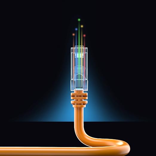 Maximm Cat 6 Ethernet Cable - 30 ft - High-Speed LAN - Image 8
