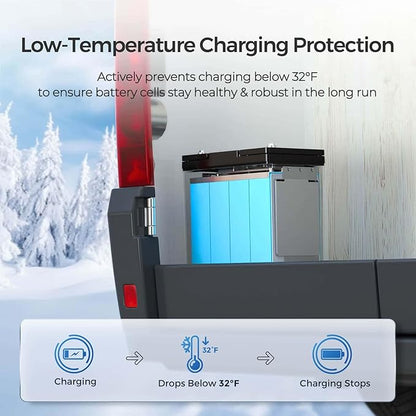 Renogy 2PCS 12V 100Ah Mini Size LiFePO4 Lithium Battery, 100A BMS - Image 3