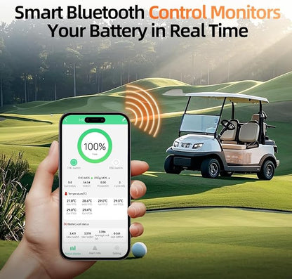 2PCS 48V Lithium Battery for Golf Cart - Image 5