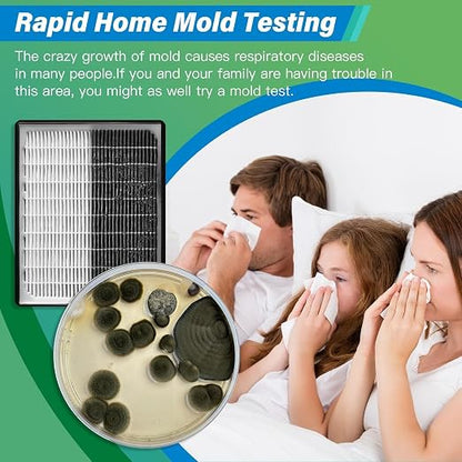Mold Test Kit for Home - Image 2