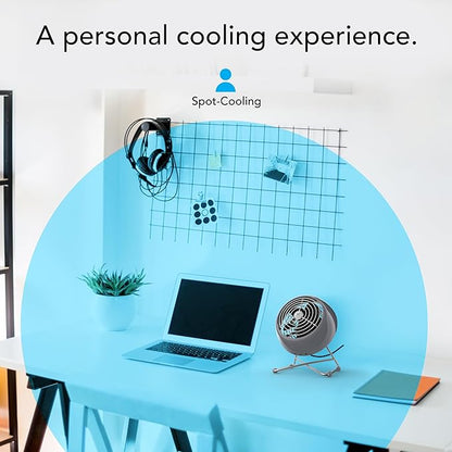 Vornado VFAN™ Mini Modern Vintage Fan, Retro Metal Air Circulator, Fan - Image 4