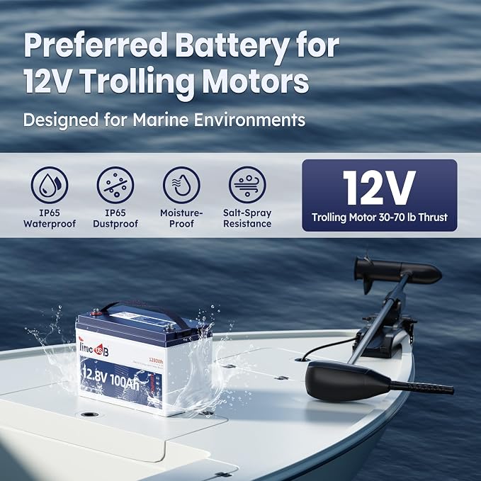 12V 100Ah TM Low-Temp Protection LiFePO4 Battery, Timeusb Group 31 Deep Cycle - Image 6
