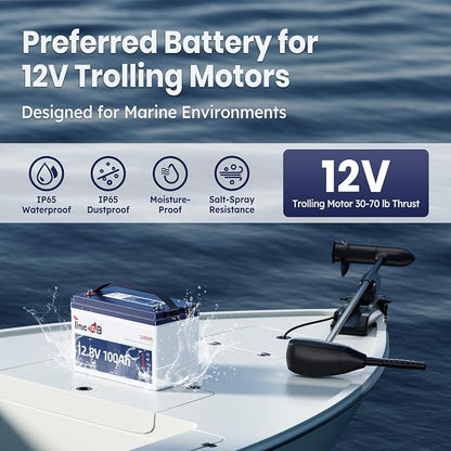 12V 100Ah TM Low-Temp Protection LiFePO4 Battery, Timeusb Group 31 Deep Cycle - Image 6