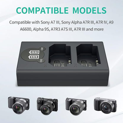 LP NP-FZ100 Camera Battery Charger, Dual USB Charger - Image 2