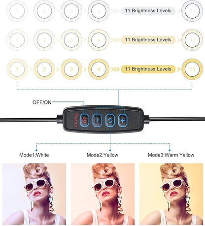Video Conference Lighting Kit, Ring Light Clip on Laptop Monitor - Image 2