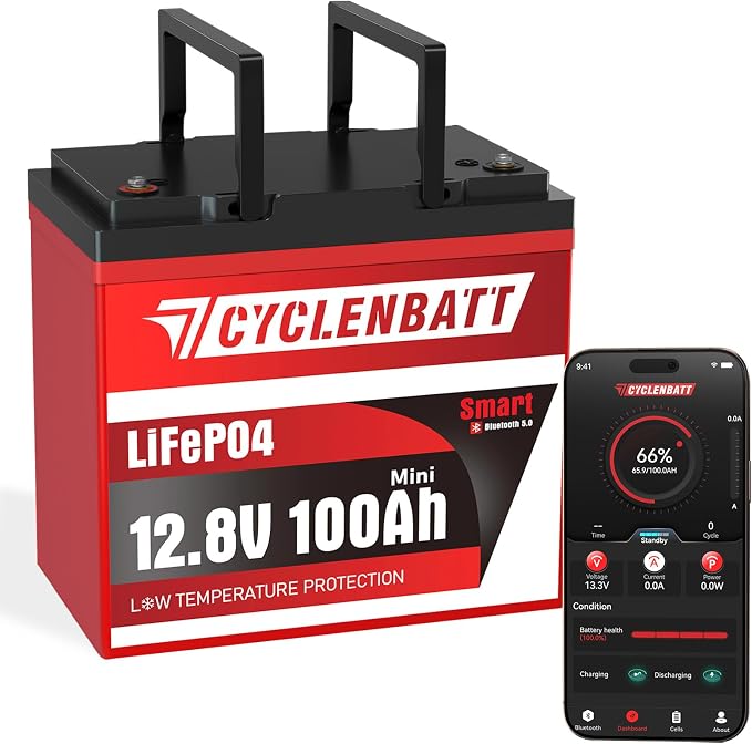 12V 100Ah Mini Bluetooth LiFePO4 Battery, 12 Volt Lithium Battery Bulit in 100A by CYCLENBATT