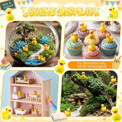 Skylety 30 Pcs Back to School Mini Resin Ducks - Image 6